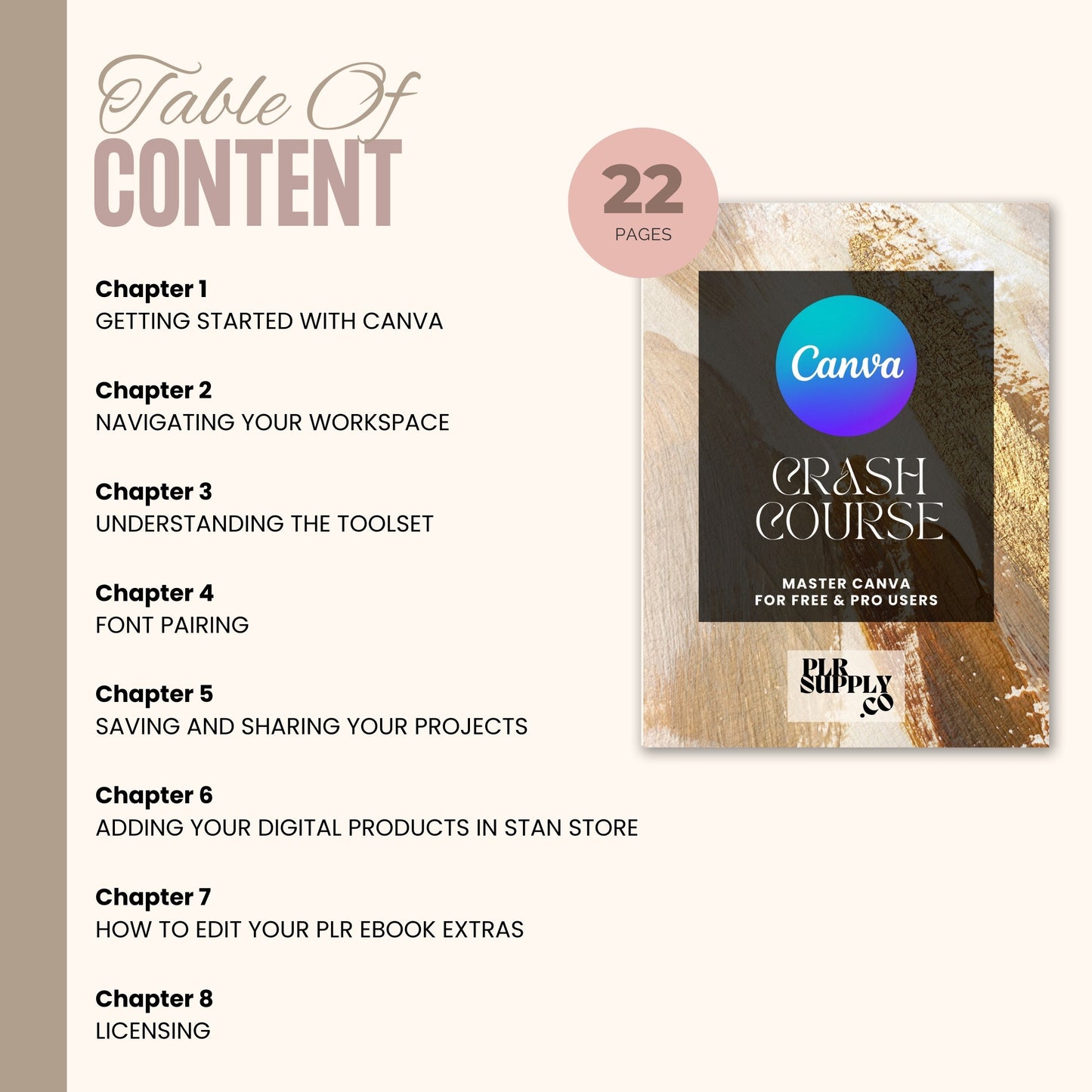 PLR Canva Crash Course with Resell Rights- DFY Digital Product