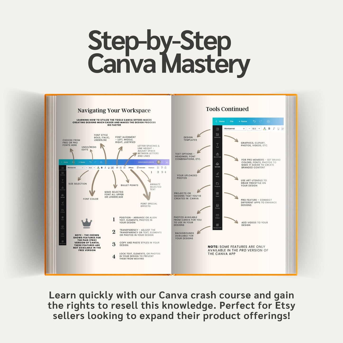PLR Canva Crash Course with Resell Rights- DFY Digital Product