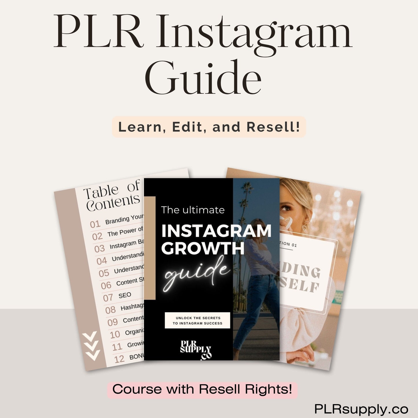 Instagram Growth Course with Resell Rights- DFY Digital Product