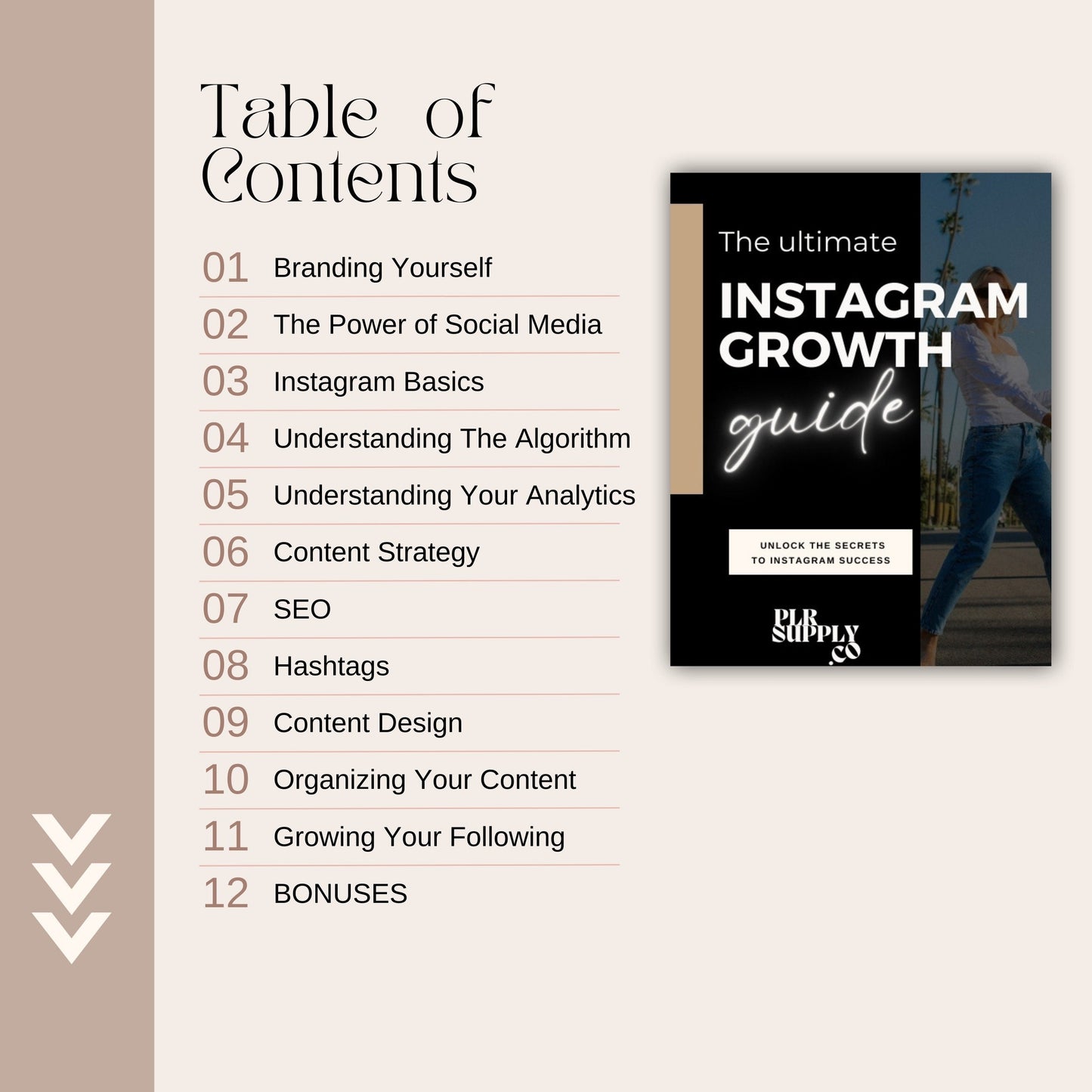 Instagram Growth Course with Resell Rights- DFY Digital Product