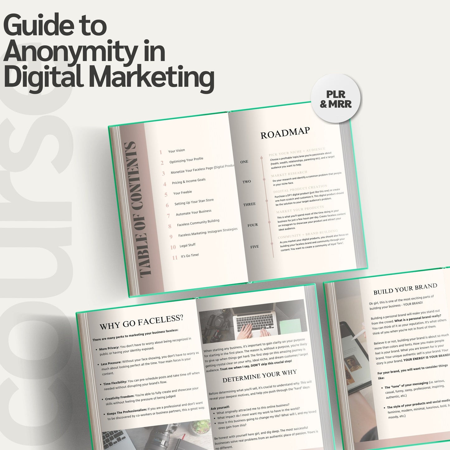 Faceless Marketing PLR Guide with Resell Rights- DFY Digital Product