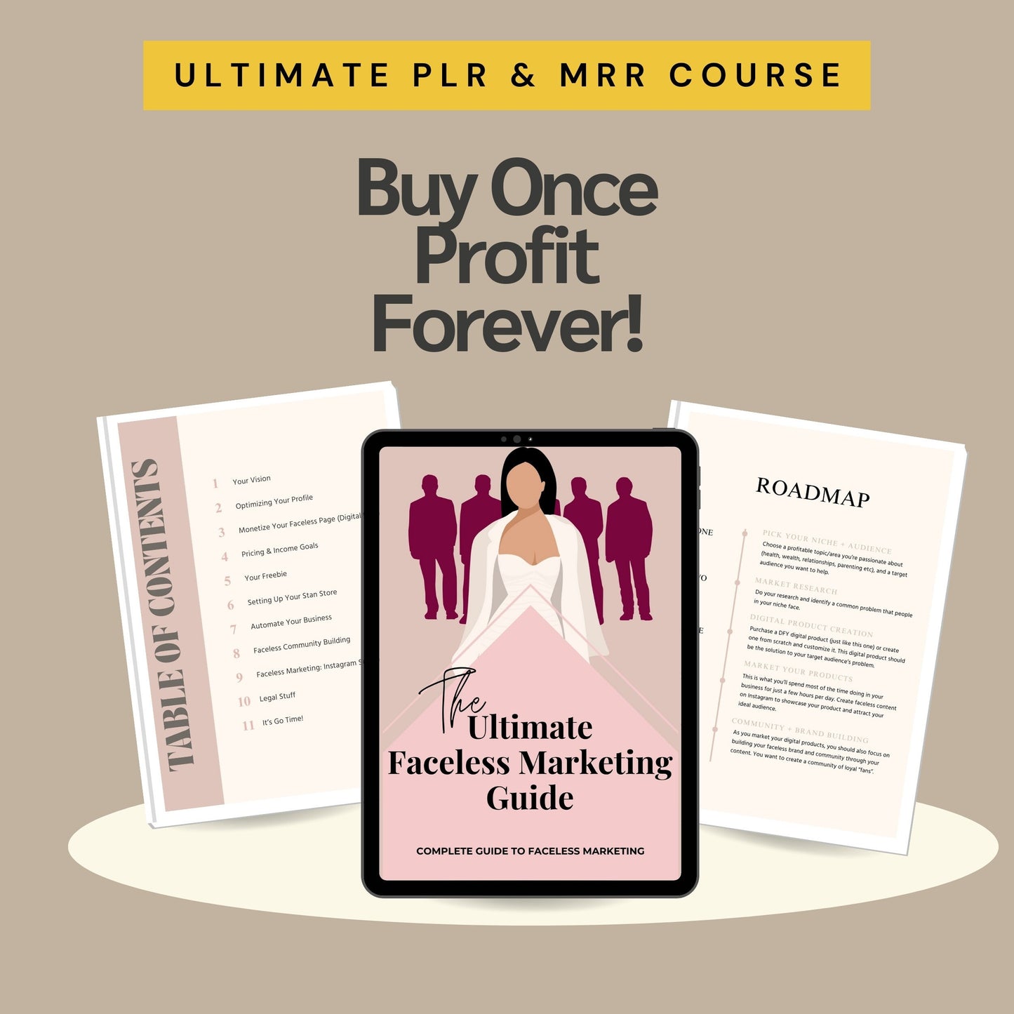 Faceless Marketing PLR Guide with Resell Rights- DFY Digital Product
