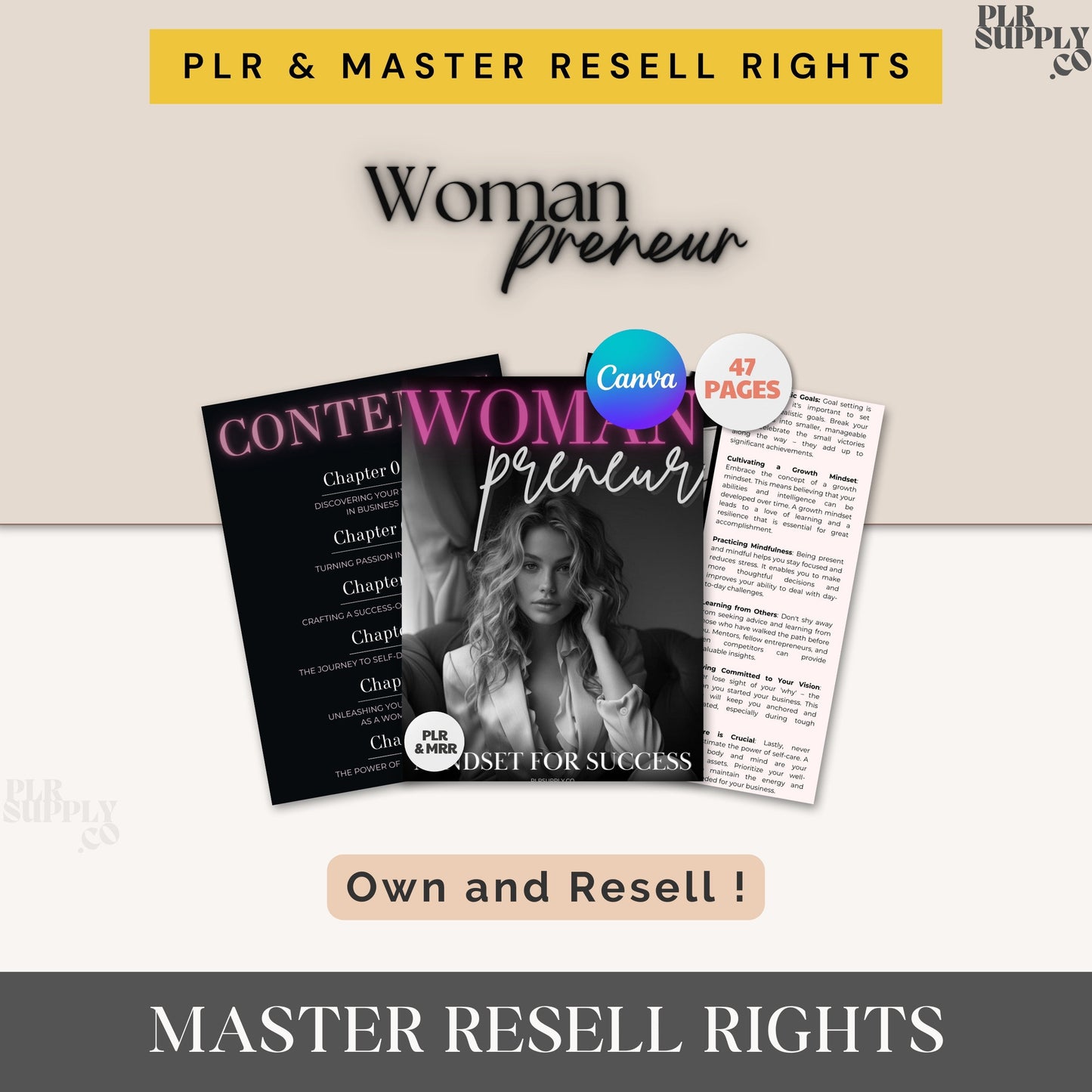 Womanpreneur Woman Entrepreneur Course Canva Template - DFY Digital Product