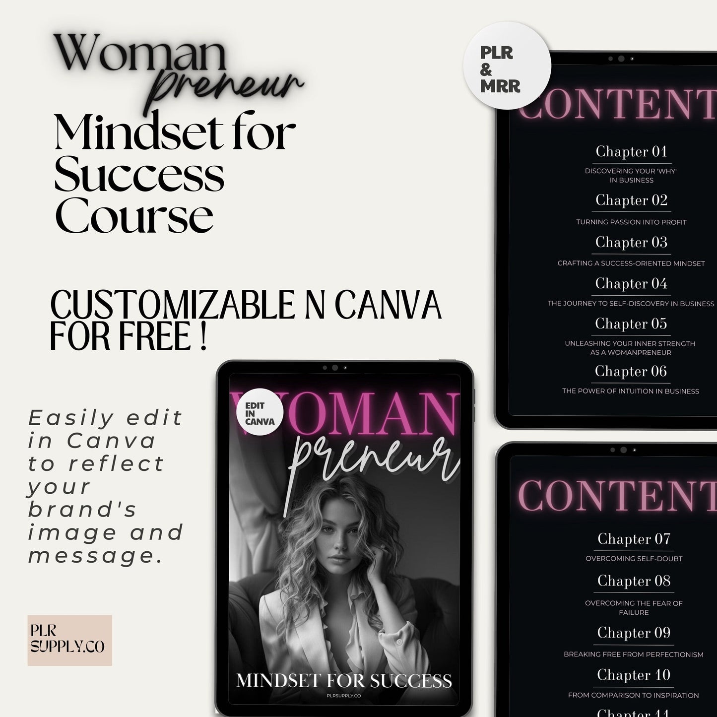 Womanpreneur Woman Entrepreneur Course Canva Template - DFY Digital Product