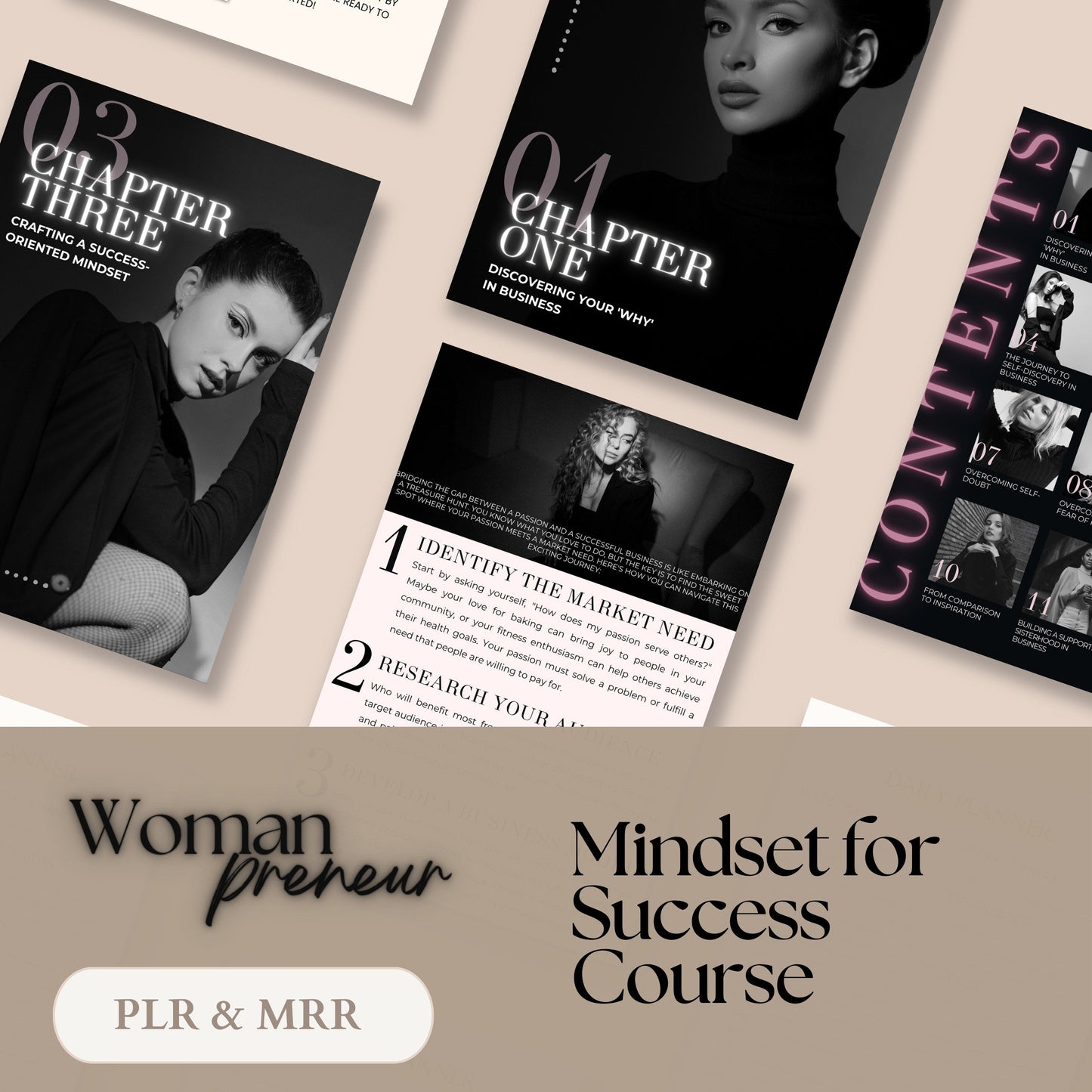 Woman Entrepreneur MRR Ebook  PLR Course - DFY Digital Product