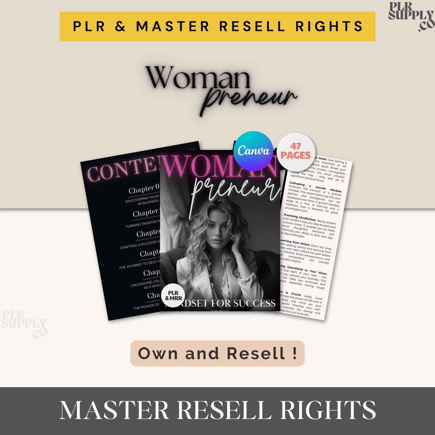 Woman Entrepreneur Wealth Course and Workbook to Make Money Online - DFY Digital Product