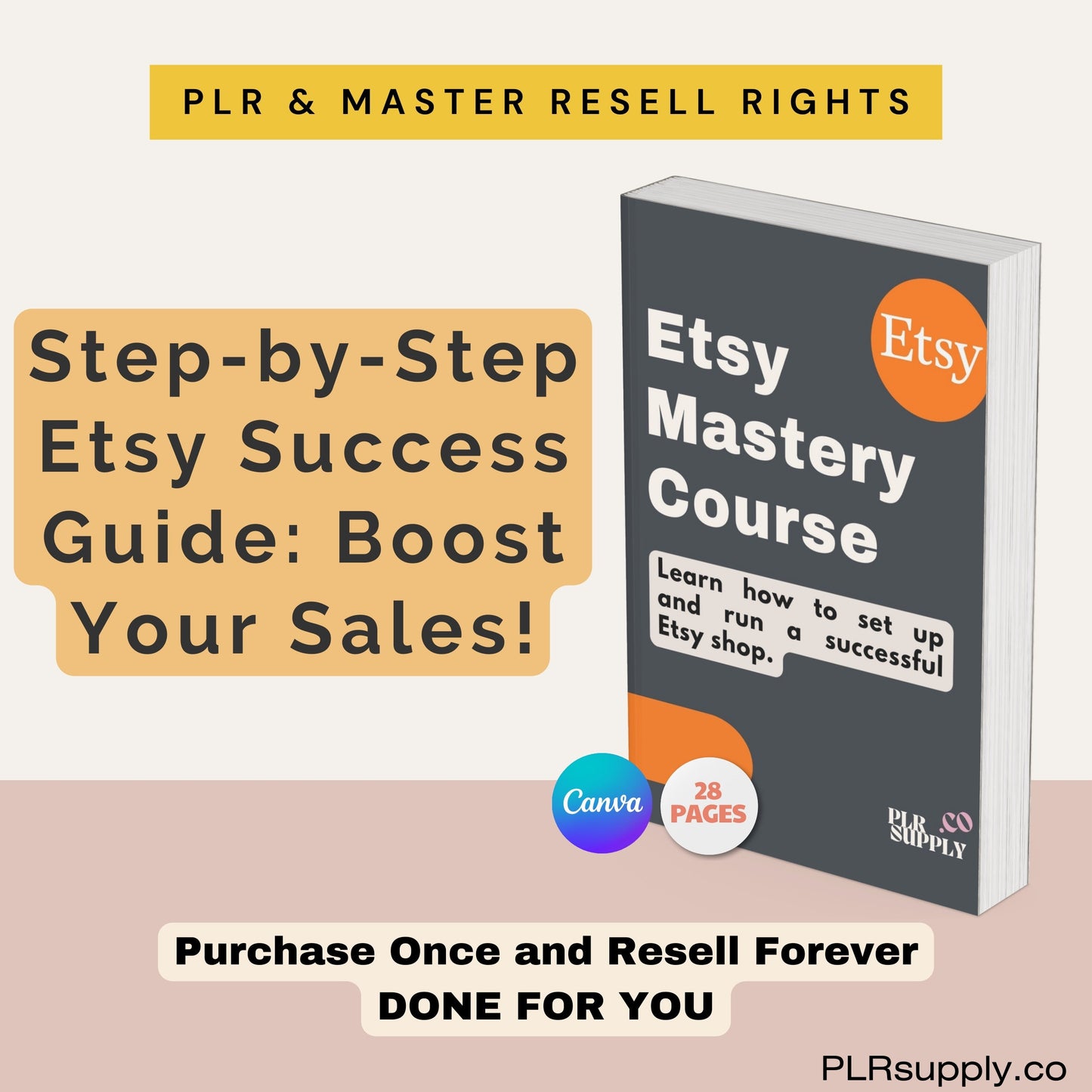 Etsy Sellers Success PLR Course Etsy Shop Kit with Resell Rights- DFY Digital Product