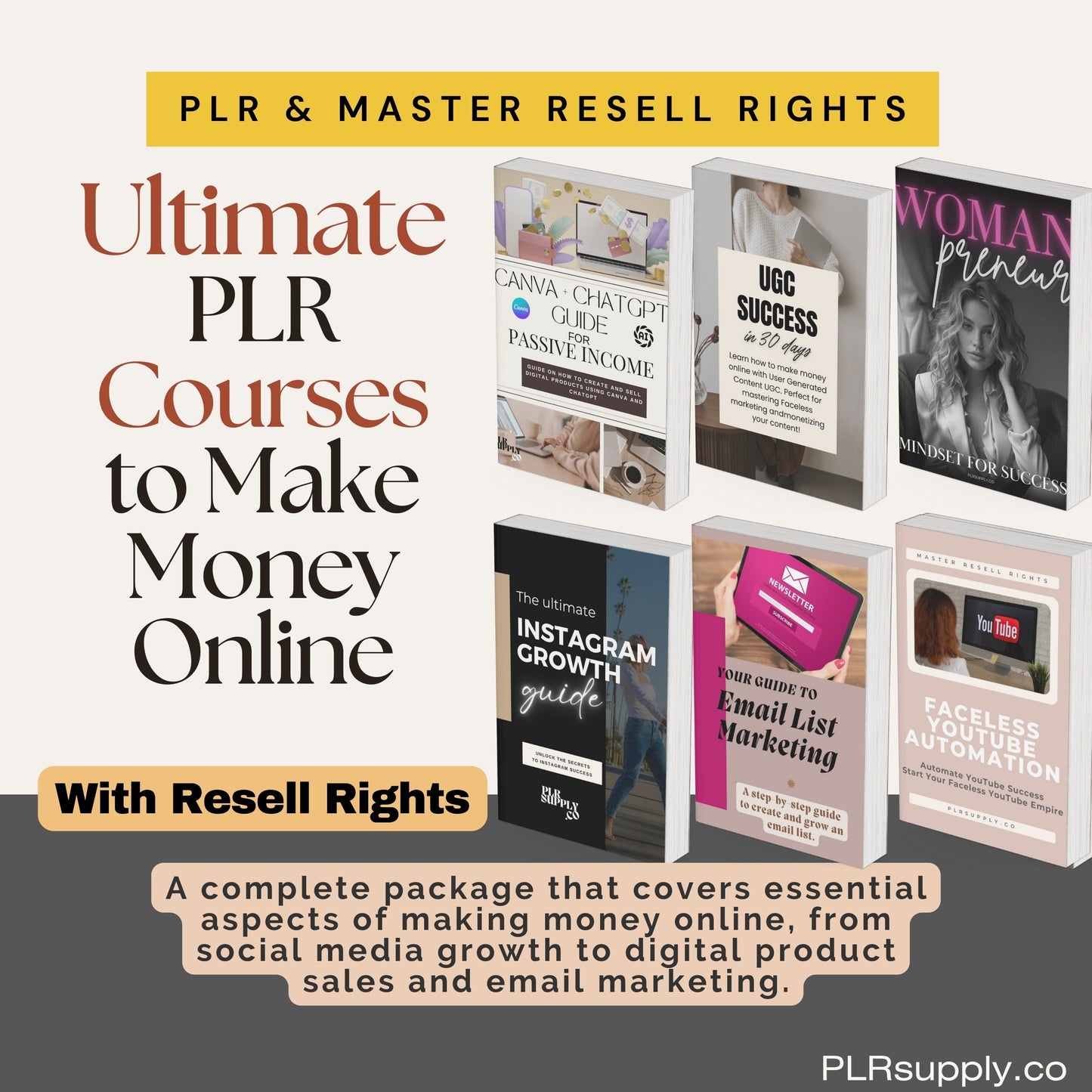 Digital Marketing PLR Courses to Make Money Online MRR Faceless Marketing