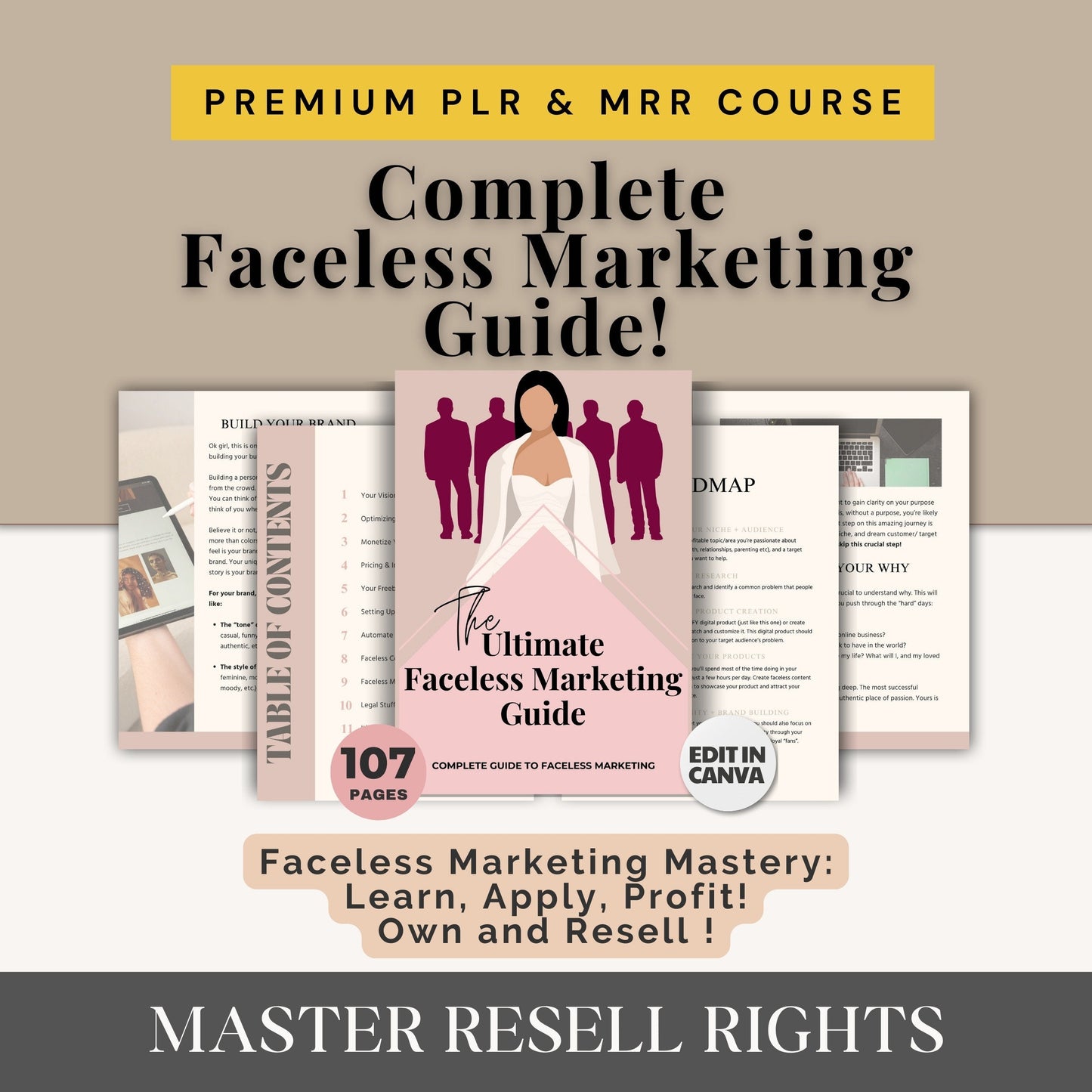 PLR Courses for Digital Wealth and Passive Income Master Resell Rights Canva Templates