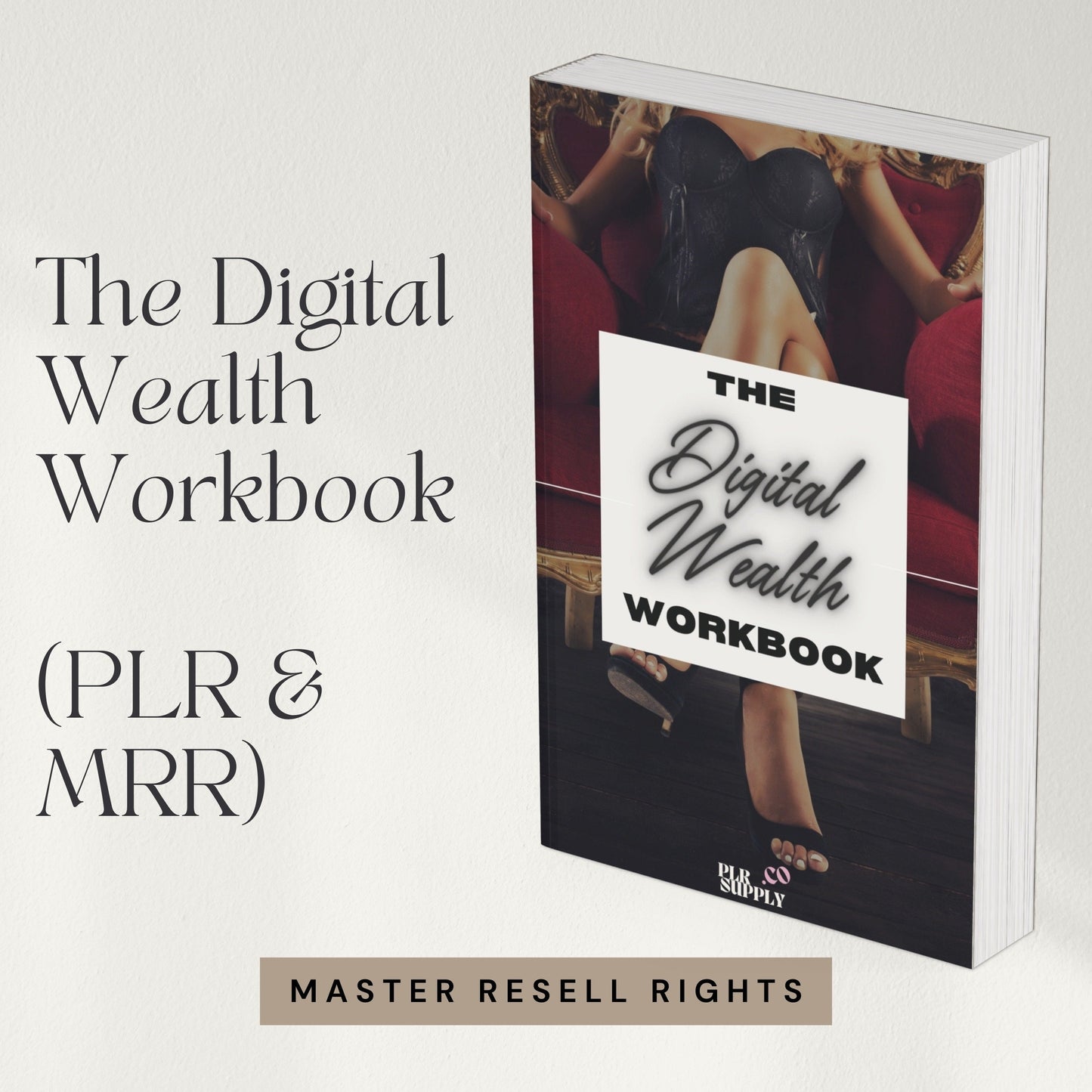 PLR Courses for Digital Wealth and Passive Income Master Resell Rights Canva Templates