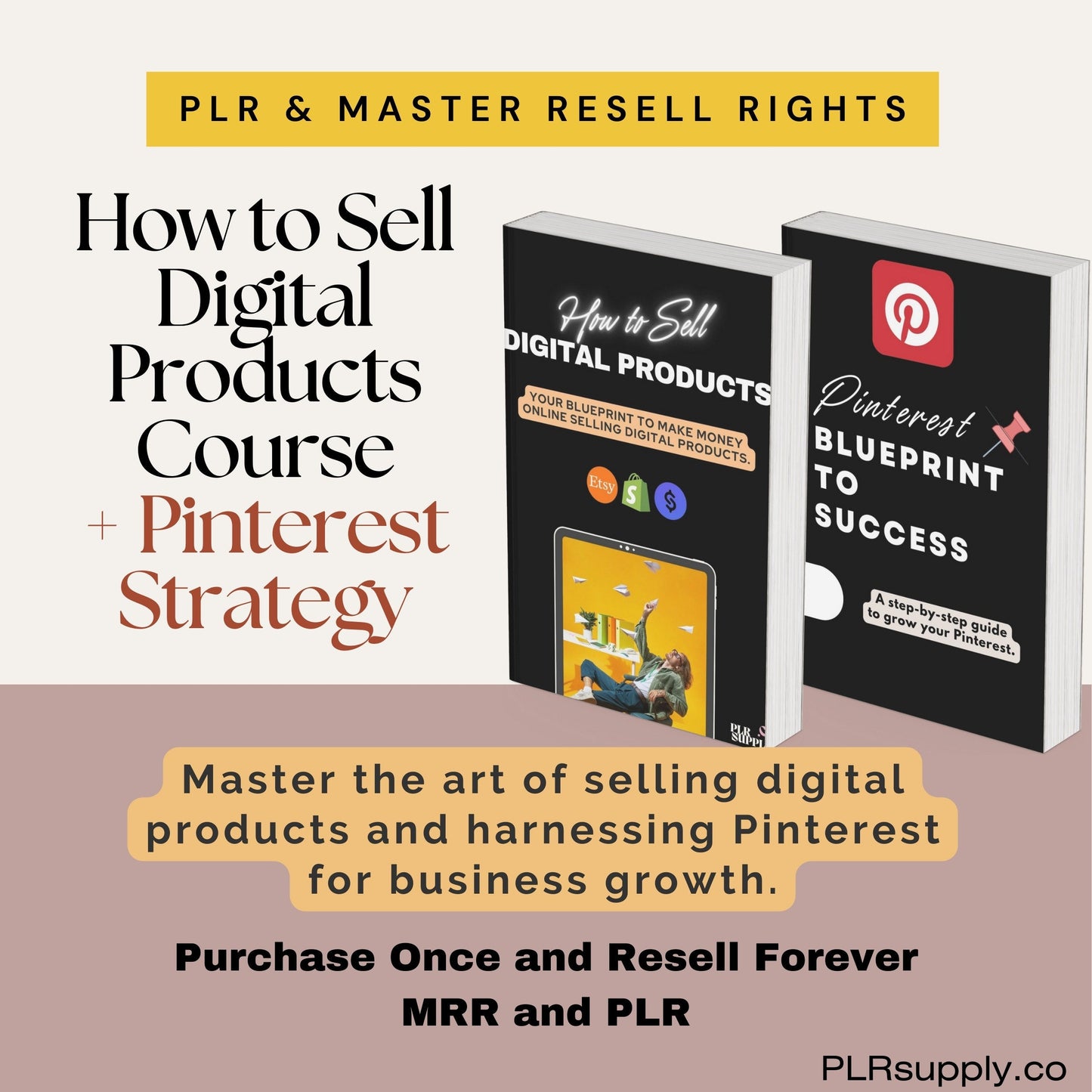 PLR Courses for Digital Wealth and Passive Income Master Resell Rights Canva Templates