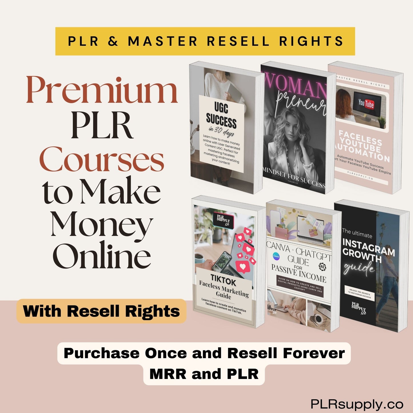 MRR Digital Products Bundle Master Resell Rights Premium Digital Products to Resell