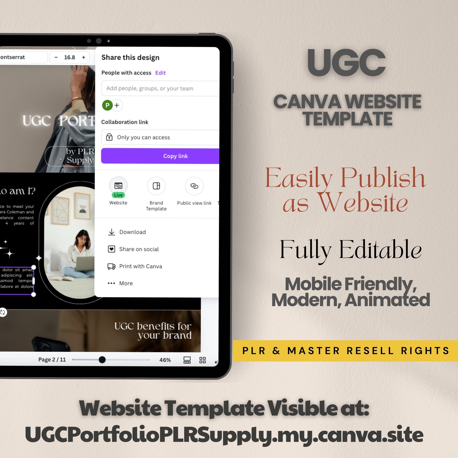 Canva Website Template UGC Portfolio Template PLR Branding Kit Business Coach Website Template Master Resell Rights PLR Digital Products