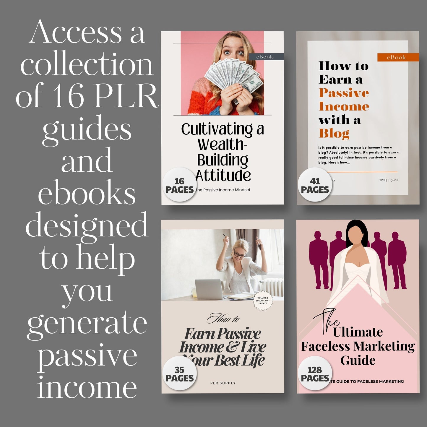 PLR Course Bundle for Passive Income Master Resell Rights Digital Marketing MRR Digital Products