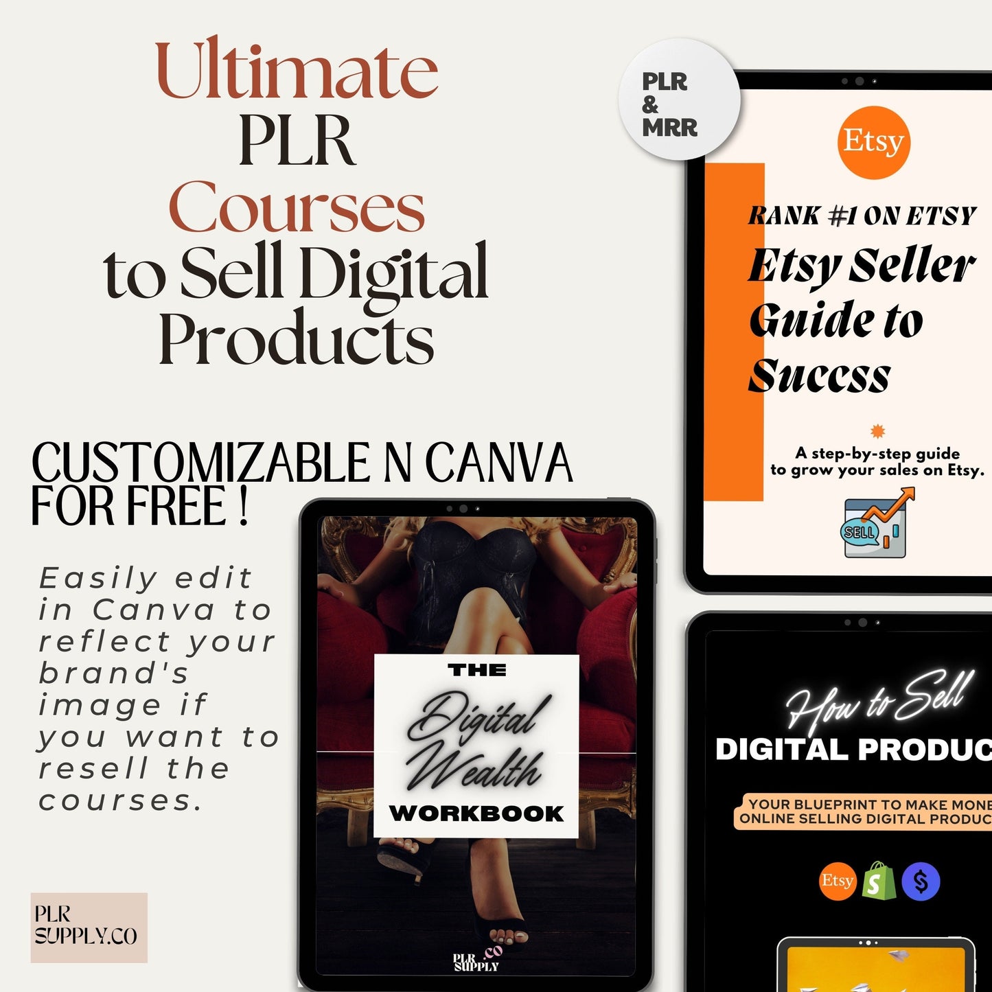 PLR Courses for Digital Wealth and Passive Income Master Resell Rights Canva Templates