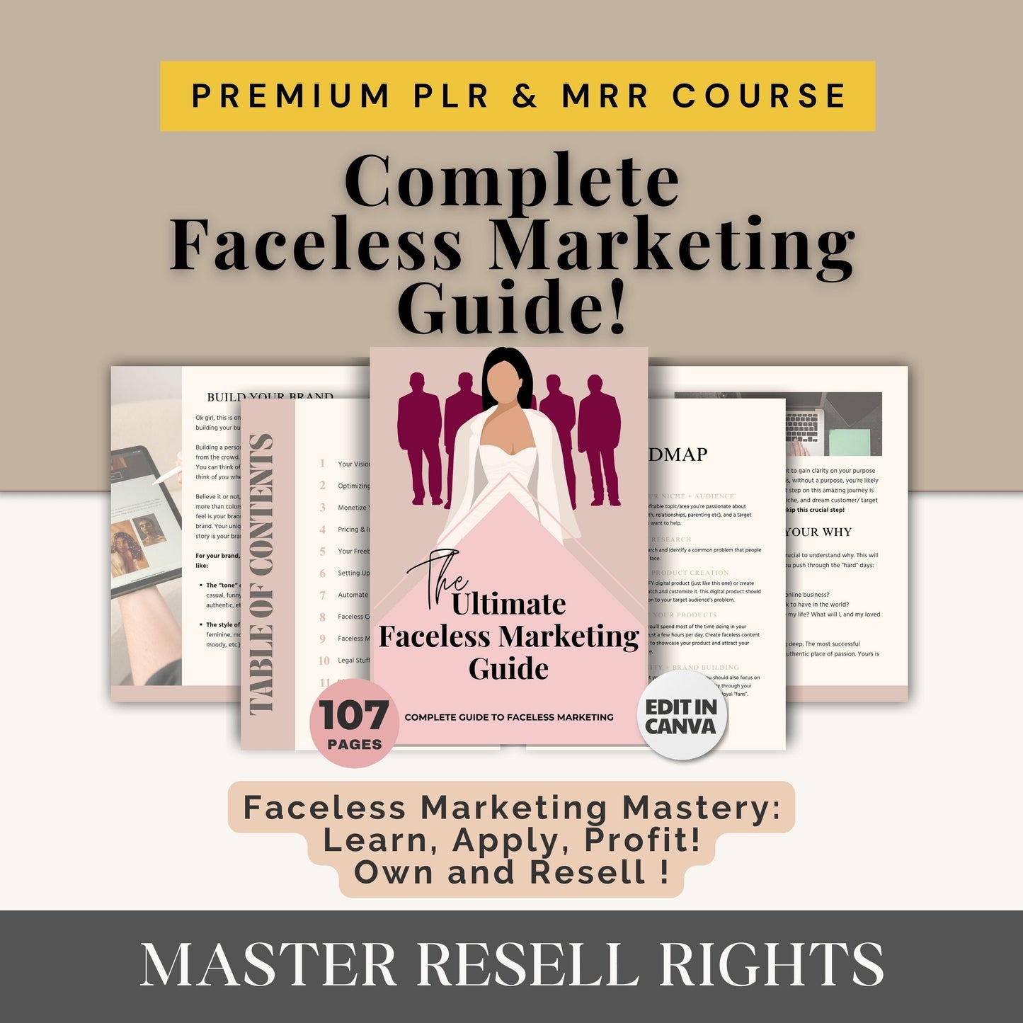 PLR Course Bundle for Passive Income Master Resell Rights Digital Marketing MRR Digital Products