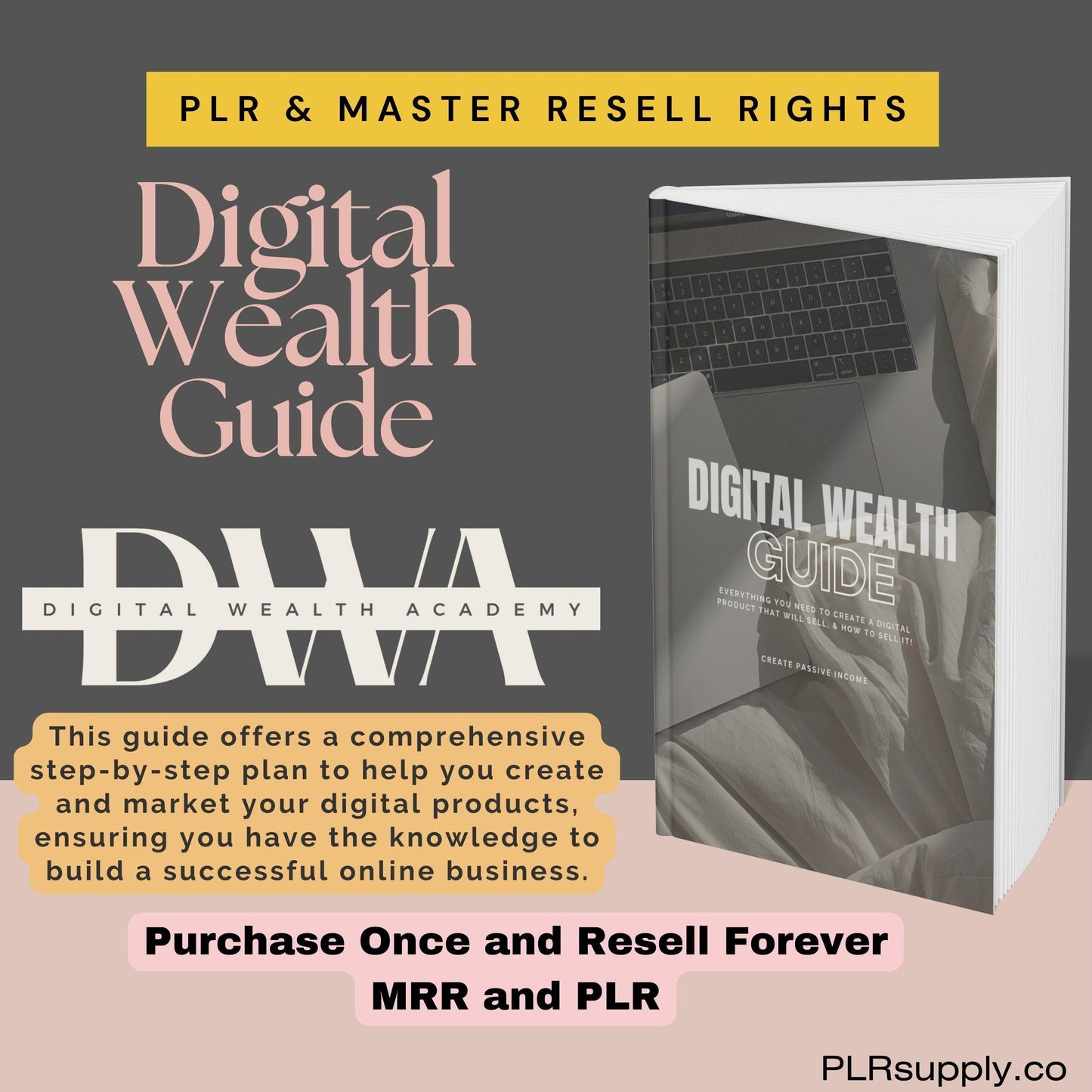 DWA Guide Digital Wealth Guide for Passive Income PLR Course Done For You