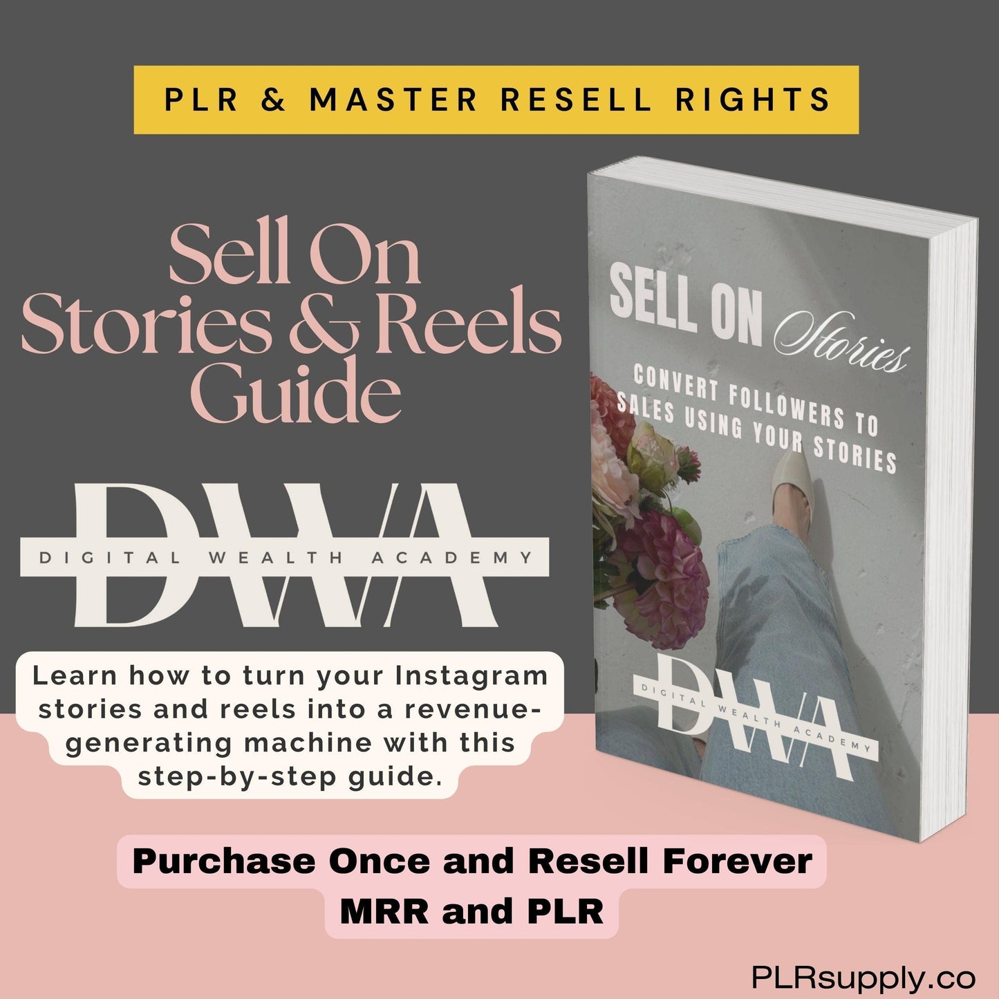 DWA Guide Faceless Marketing Done for You PLR Course to Make Money Online