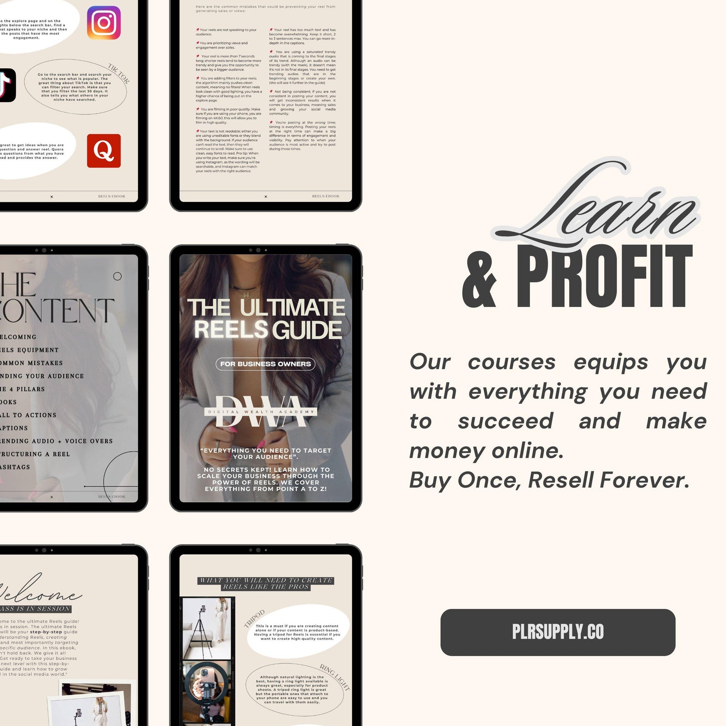 Digital Wealth Academy Instagram Reels Guide MRR PLR