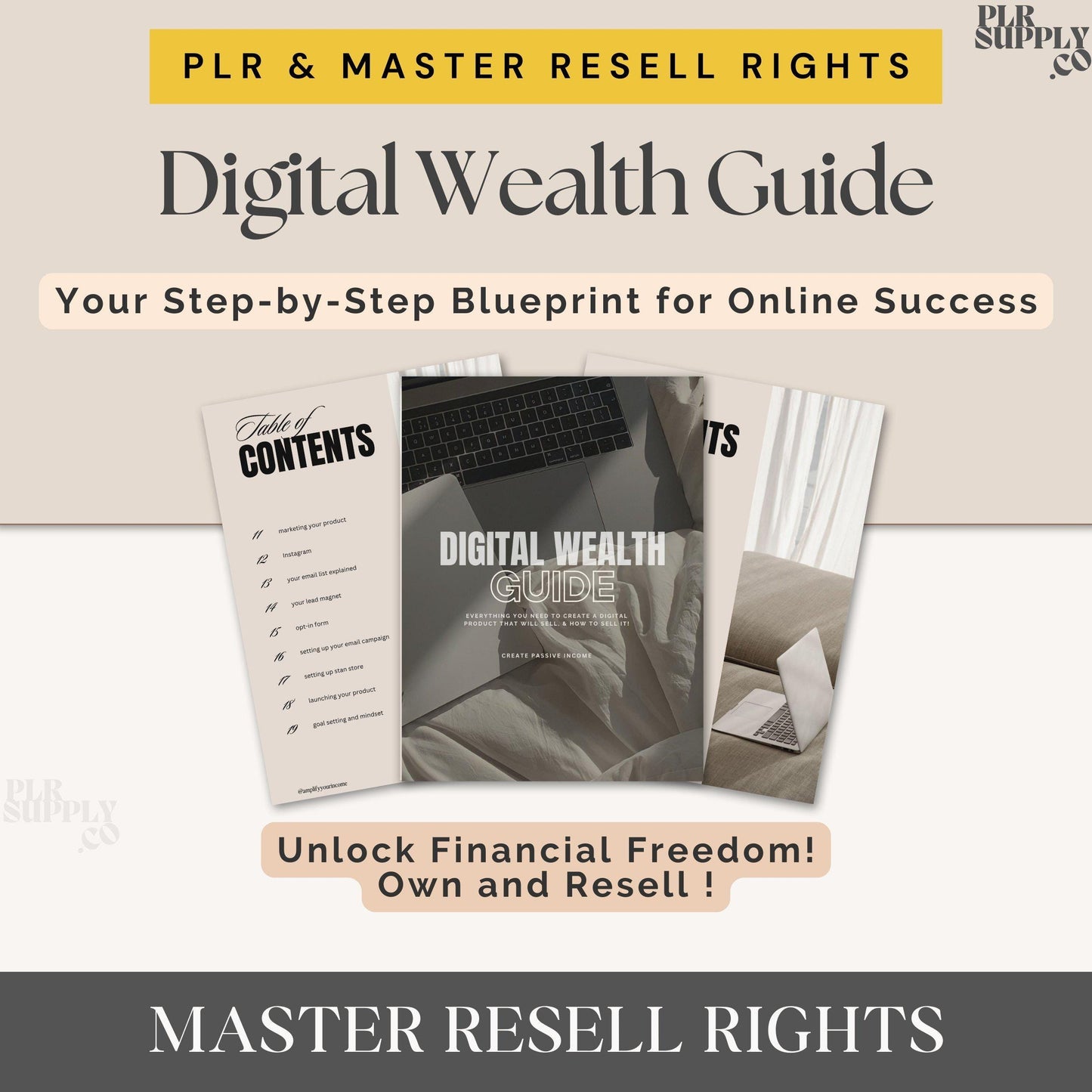 DWA Guide Digital Wealth Guide for Passive Income PLR Course Done For You