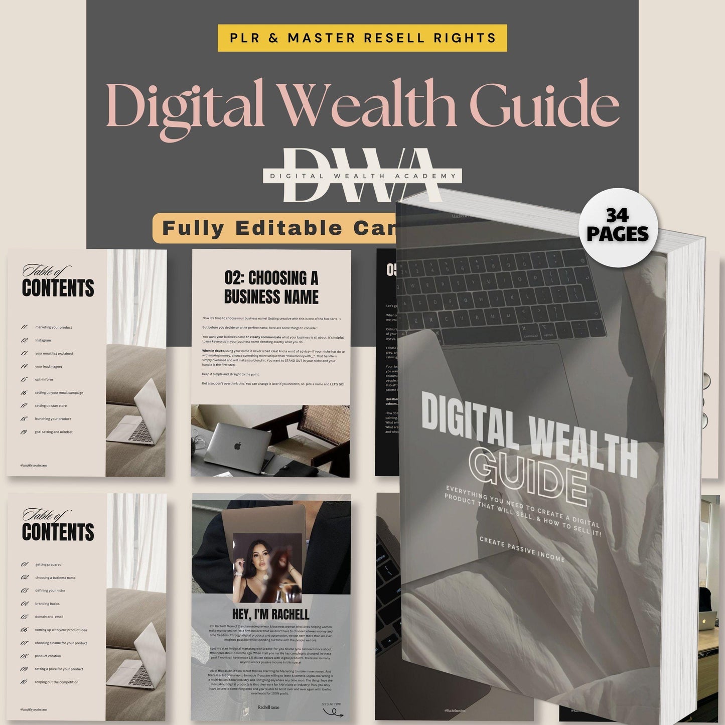 DWA Guide Digital Wealth Guide for Passive Income PLR Course Done For You