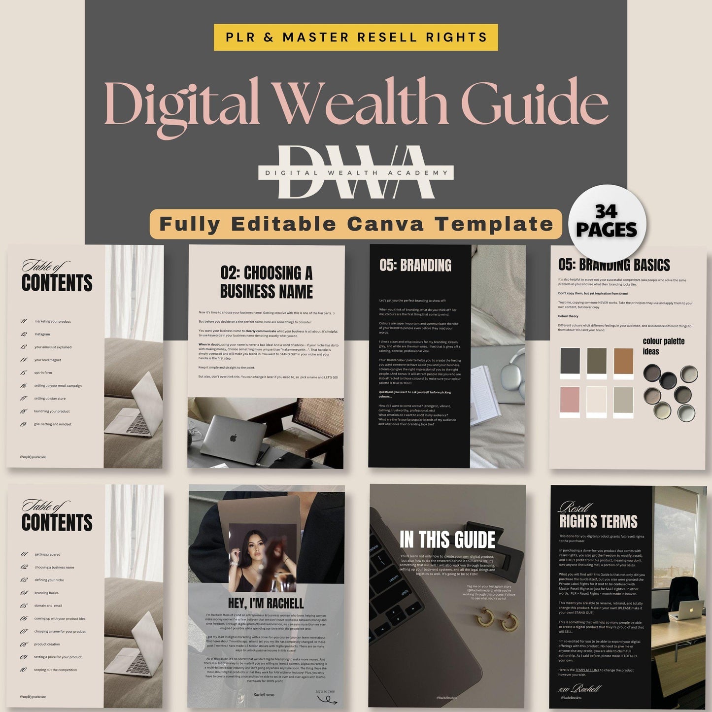 DWA Guide Digital Wealth Guide for Passive Income PLR Course Done For You