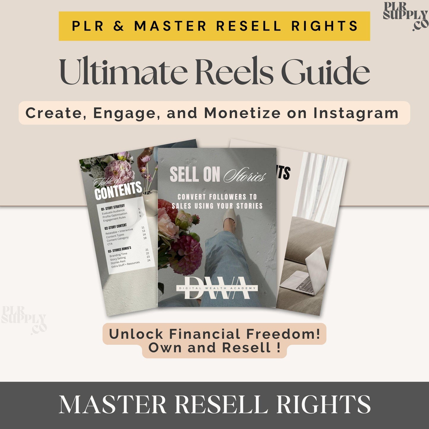 Digital Wealth Academy Instagram Reels Guide MRR PLR