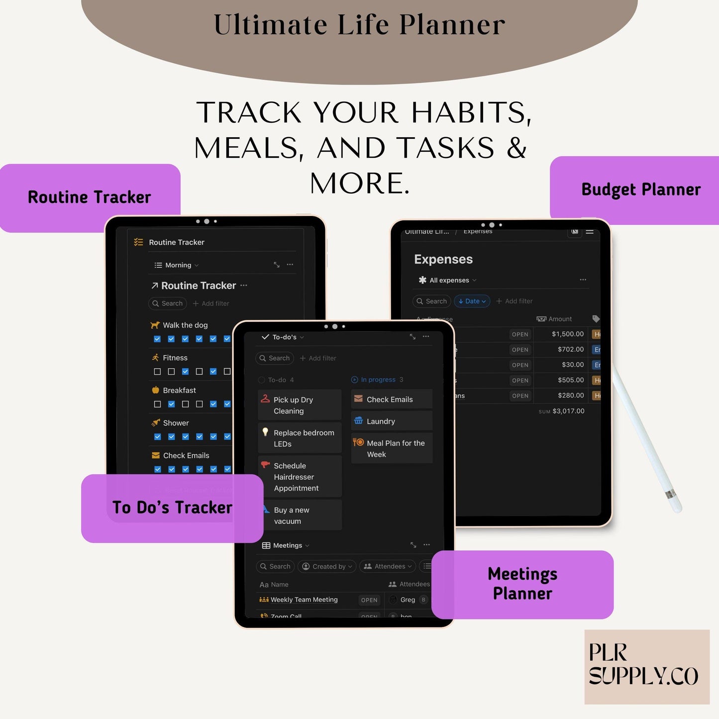 Notion Template Life Planner MRR Notion Planner Master Resell Rights